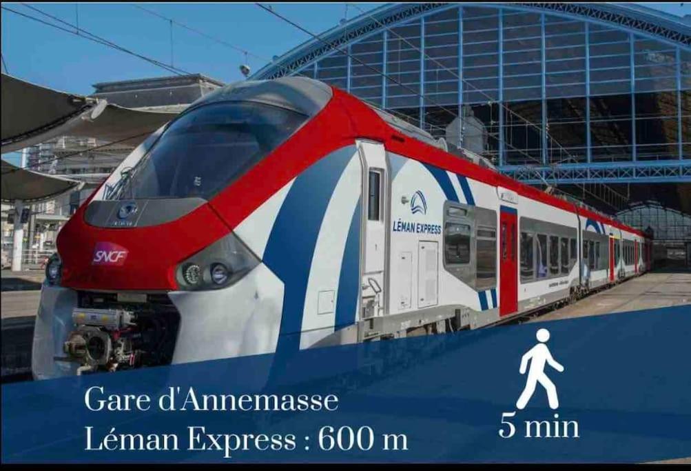 Appartement Virginia 600M De La Gare à Annemasse Extérieur photo